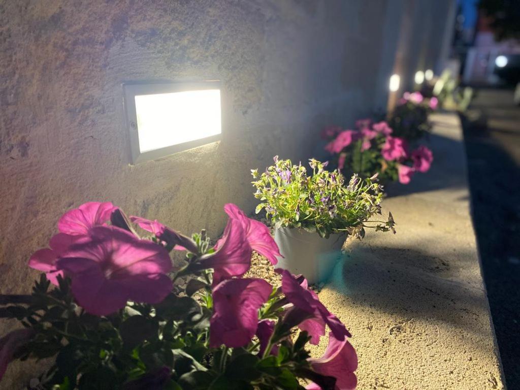 Bed and Breakfast Viro House Squinzano Екстер'єр фото